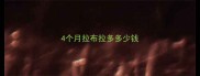 4个月拉布拉多多少钱