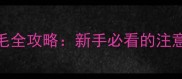 2个月泰迪幼犬剪毛全攻略新手必看的注意事项与操作指南