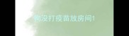狗没打疫苗放房间