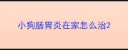 小狗肠胃炎在家怎么治