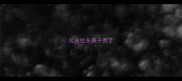 拉布拉多鼻子秃了