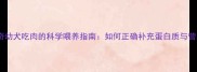 哈士奇幼犬吃肉的科学喂养指南如何正确补充蛋白质与营养