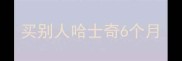 买别人哈士奇6个月