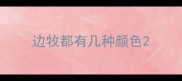 边牧都有几种颜色