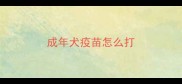 成年犬疫苗怎么打