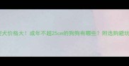 小型犬价格大成年不超25cm的狗狗有哪些附选购避坑指南