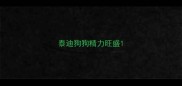 泰迪狗狗精力旺盛