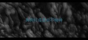 狗狗打疫苗后不精神