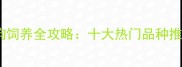 大眼睛小体型宠物狗饲养全攻略十大热门品种推荐与科学养护指南