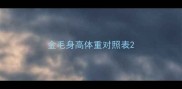 金毛身高体重对照表