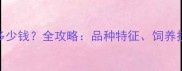 红哈士奇幼犬多少钱全攻略品种特征饲养技巧与购买指南