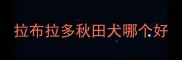 拉布拉多秋田犬哪个好