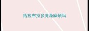 给拉布拉多洗澡麻烦吗