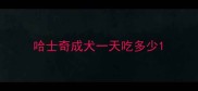 哈士奇成犬一天吃多少
