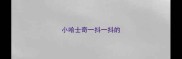 小哈士奇一抖一抖的