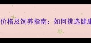 大沥宠物市场哈士奇幼犬价格及饲养指南如何挑选健康犬只及科学喂养全攻略