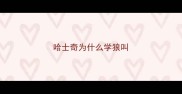 哈士奇为什么学狼叫