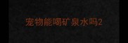 宠物能喝矿泉水吗
