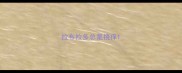 拉布拉多总是挠痒