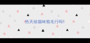 热天给猫咪剪毛行吗