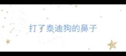 打了泰迪狗的鼻子