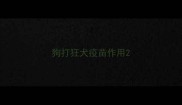 狗打狂犬疫苗作用