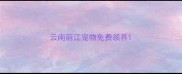 云南丽江宠物免费领养