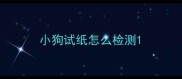 小狗试纸怎么检测