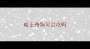 哈士奇狗可以吃吗