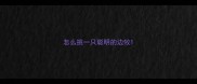 怎么挑一只聪明的边牧