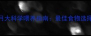 巴哥犬四个月大科学喂养指南最佳食物选择与营养方案