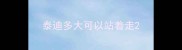 泰迪多大可以站着走