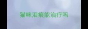 猫咪泪痕能治疗吗
