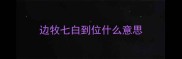 边牧七白到位什么意思