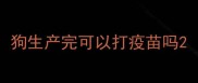 狗生产完可以打疫苗吗