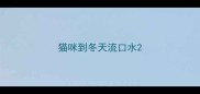 猫咪到冬天流口水