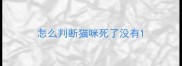 怎么判断猫咪死了没有