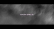 国外自助宠物洗澡