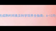 拉布拉多公狗性成熟时间表及科学饲养全指南6-12月必看养护要点