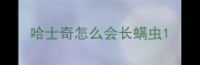 哈士奇怎么会长螨虫
