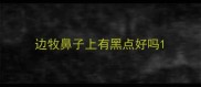边牧鼻子上有黑点好吗