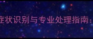 拉布拉多肚里有虫5大症状识别与专业处理指南从确诊到预防的全流程