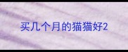 买几个月的猫猫好