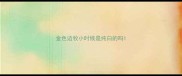 金色边牧小时候是纯白的吗