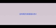 边牧尾巴前面是白色