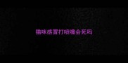 猫咪感冒打喷嚏会死吗