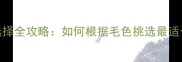 小狗颜色选择全攻略如何根据毛色挑选最适合的萌宠