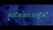 南昌靠谱的宠物店