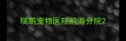 瑞鹏宠物医院前海分院