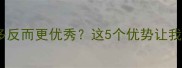捡漏没血统的拉布拉多反而更优秀这5个优势让我家二哈逆袭成拆家能手